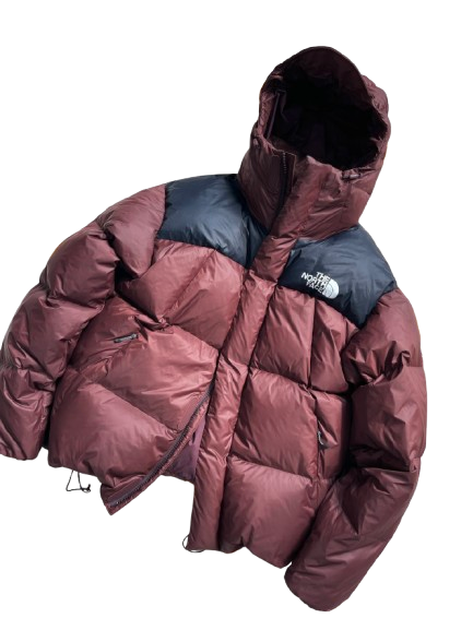 THE NORTH FACE - Piumino summit series