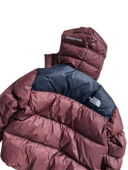 THE NORTH FACE 700 - Jacke 